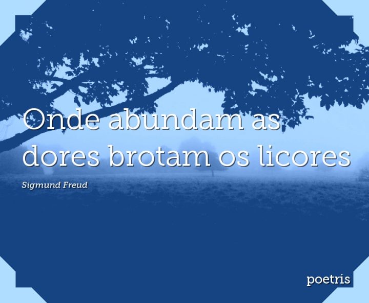 Onde abundam as dores brotam os licores