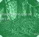 Quem deve que se torça
