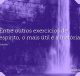 Entre outros exercícios de espírito, o mais útil é a história