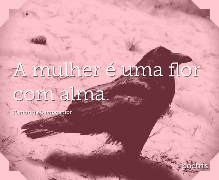 A mulher é uma flor com alma