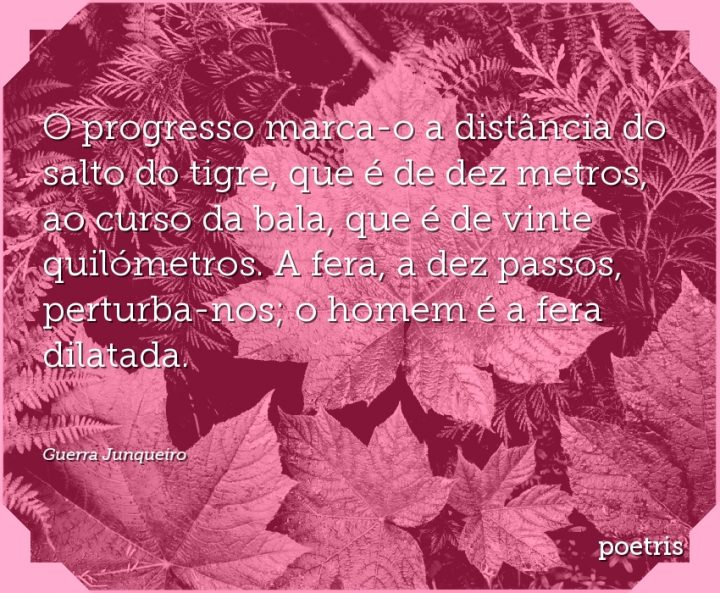 O progresso marca-o a distância do salto do tigre, que é de dez metros, ao curso da bala