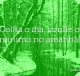 Colha o dia, confie o mínimo no amanhã