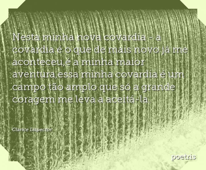 Nesta minha nova covardia - a covardia é o que de mais novo já me aconteceu