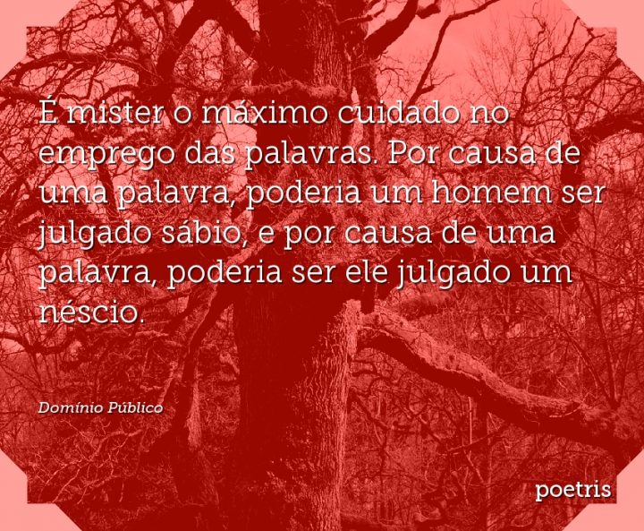 É mister o máximo cuidado no emprego das palavras