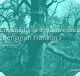 Enganado só é quem confia. Benjamin Franklin