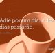 Adie por um dia, e dez dias passarão