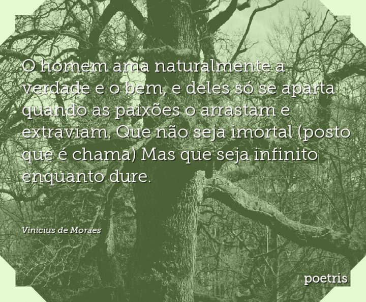 O homem ama naturalmente a verdade e o bem