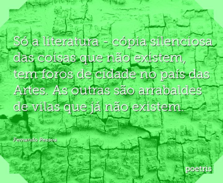Só a literatura - cópia silenciosa das coisas que não existem