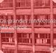 Os grandes intelectuais são céticos