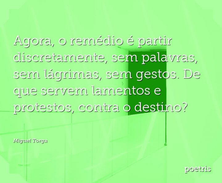 Agora, o remédio é partir discretamente, sem palavras, sem lágrimas, sem gestos