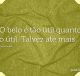 O belo é tão útil quanto o útil. Talvez até mais