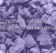 O homem solitário é uma besta ou um deus