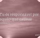 Tu és responsável por aquilo que cativas