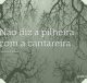 Não diz a pilheira com a cantareira