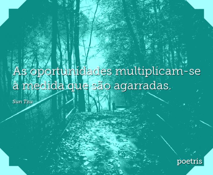 As oportunidades multiplicam-se à medida que são agarradas