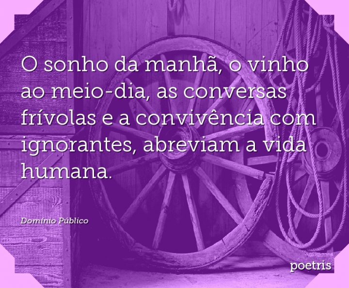 O sonho da manhã, o vinho ao meio-dia, as conversas frívolas e a convivência com ignorantes