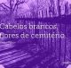 Cabelos brancos, flores de cemitério