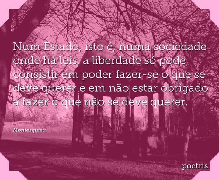 Num Estado, isto é, numa sociedade onde há leis