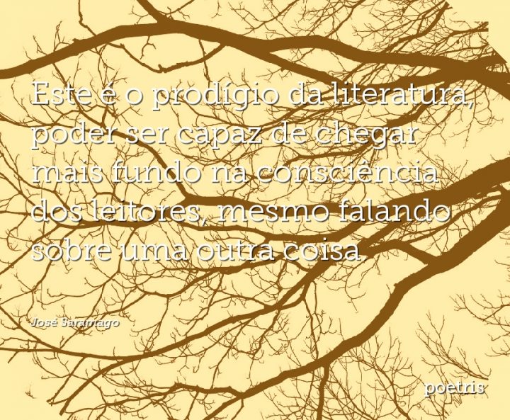 Este é o prodígio da literatura