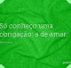 Só conheço uma obrigação: a de amar