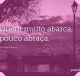 Quem muito abarca, pouco abraça