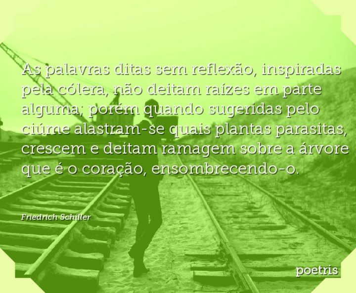 As palavras ditas sem reflexão, inspiradas pela cólera