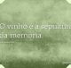 O vinho é a sepultura da memória