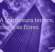 A formosura fenece, como as flores