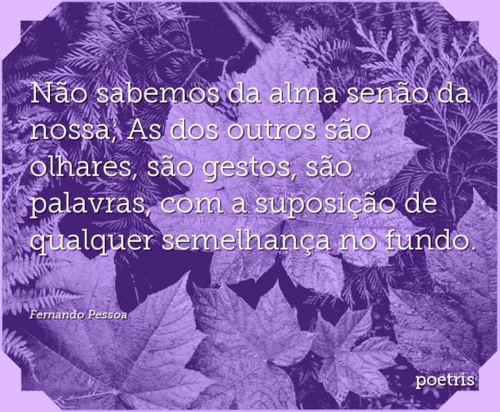 Não sabemos da alma senão da nossa; As dos outros são olhares, são gestos, são palavras
