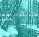 Séria é a vida. Jovial é a arte