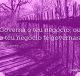 Governa o teu negócio, ou o teu negócio te governará