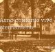 Asno contente vive eternamente