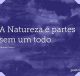 A Natureza é partes sem um todo