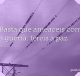 Basta que ameaceis com a guerra: tereis a paz