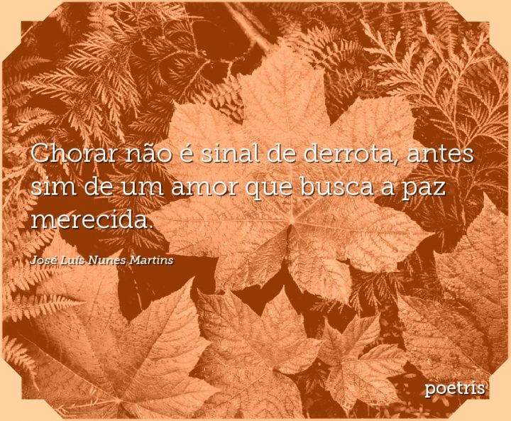 Chorar não é sinal de derrota, antes sim de um amor que busca a paz merecida