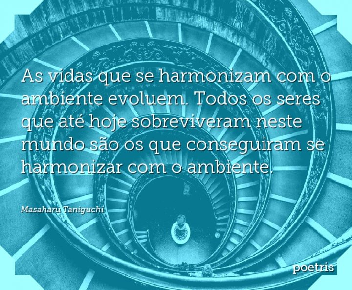 As vidas que se harmonizam com o ambiente evoluem