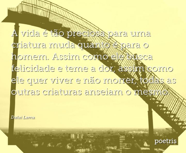 A vida é tão preciosa para uma criatura muda quanto é para o homem
