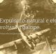 Expulsai o natural e ele voltará a galope