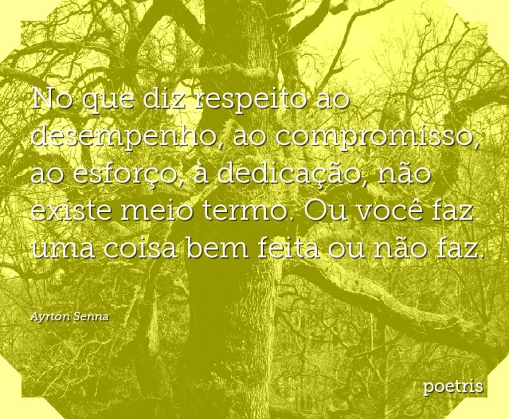 No que diz respeito ao desempenho, ao compromisso, ao esforço, à dedicação