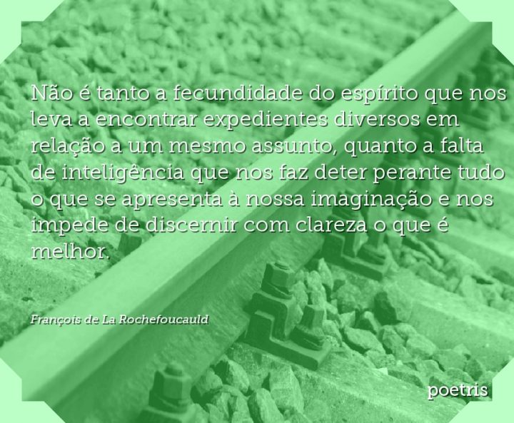 Não é tanto a fecundidade do espírito que nos leva a encontrar expedientes diversos em