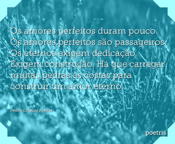 Os amores perfeitos duram pouco. Os amores perfeitos são passageiros