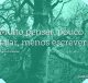 Muito pensar, pouco falar, menos escrever