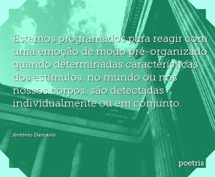 Estamos programados para reagir com uma emoção de modo pré-organizado quando determinadas
