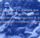 O homem é a criatura que não pode sair de si, que só conhece os outros em si, e