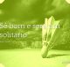 Sê bom e será um solitário