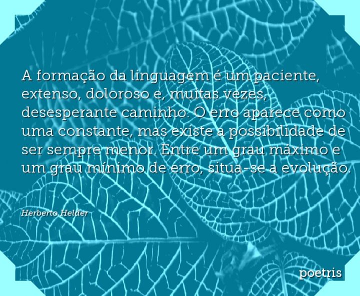 A formação da linguagem é um paciente, extenso, doloroso e, muitas vezes