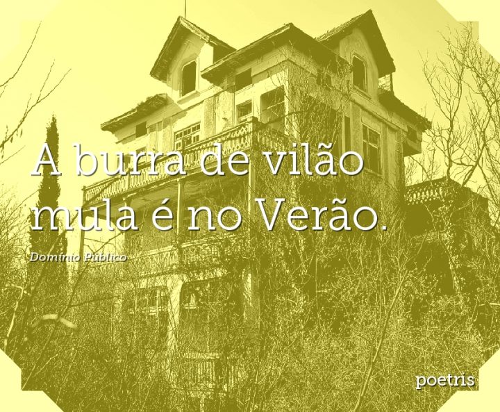A burra de vilão mula é no Verão