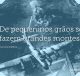 De pequeninos grãos se fazem grandes montes