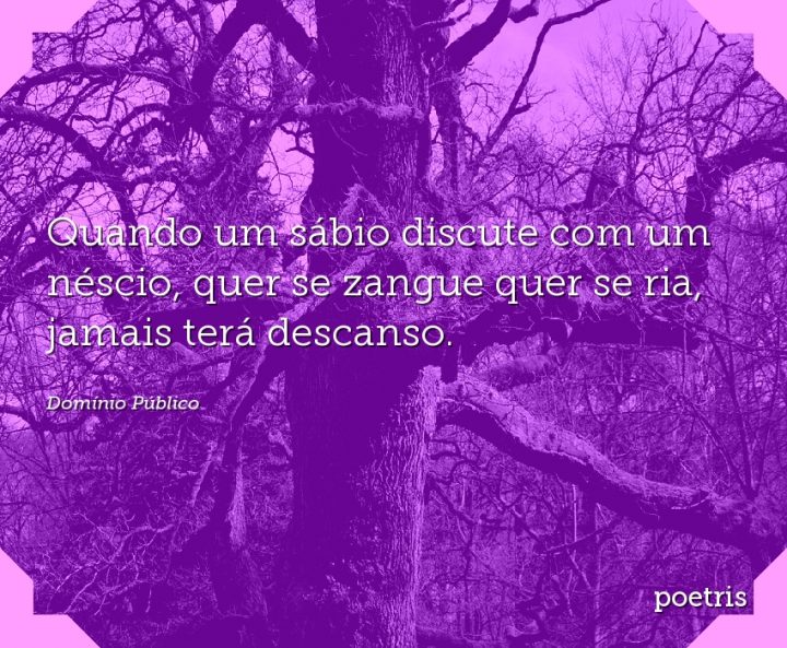 Quando um sábio discute com um néscio, quer se zangue quer se ria, jamais terá descanso