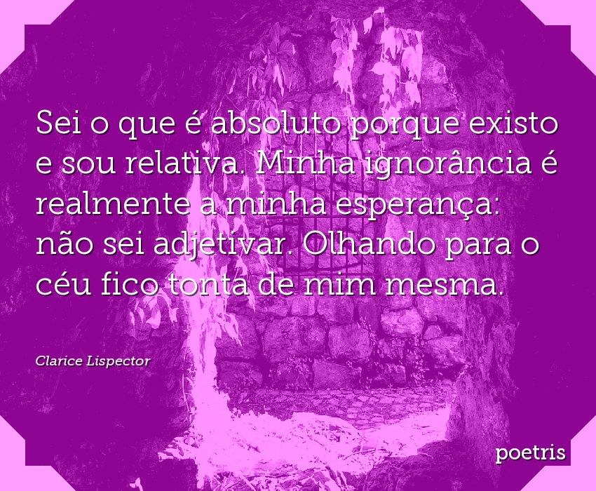 Sei o que é absoluto porque existo e sou relativa - Clarice Lispector ...